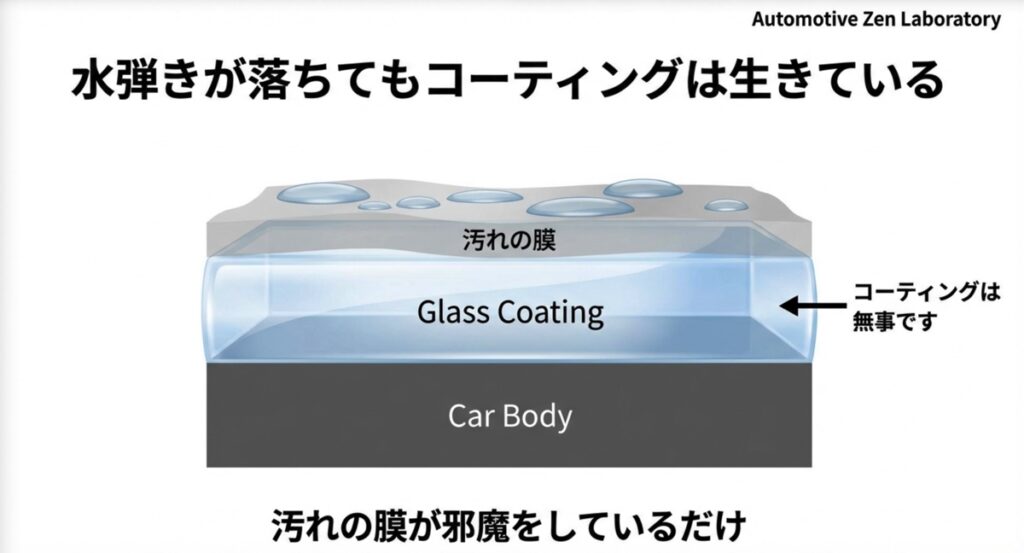 ガラスコーティングの上に汚れの膜ができている断面図。コーティング自体は無事であることを示している。
