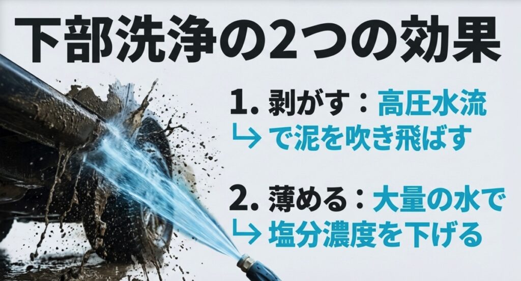高圧水流で泥を剥がす効果と、大量の水で塩分濃度を薄める効果の解説