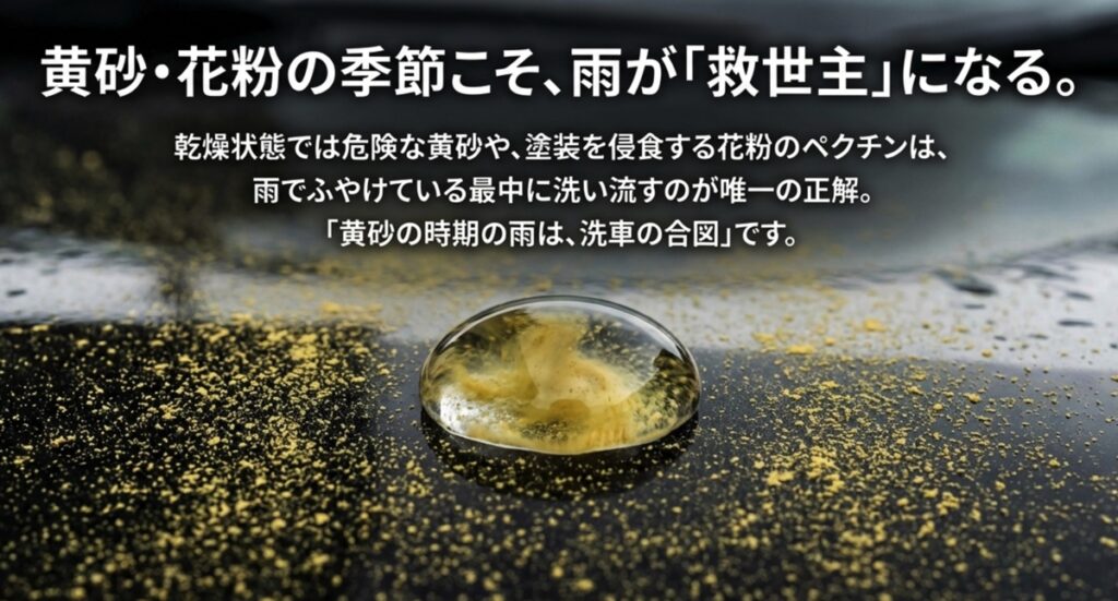 雨でふやけている最中に花粉や黄砂を洗い流すのが正解という解説