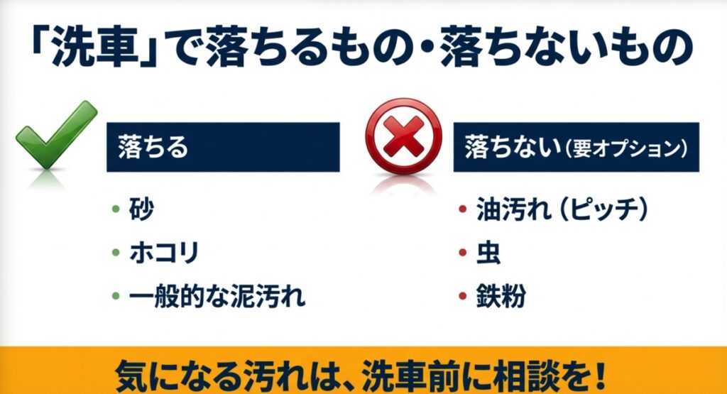 通常の洗車で落ちる汚れとオプションが必要な汚れの違い