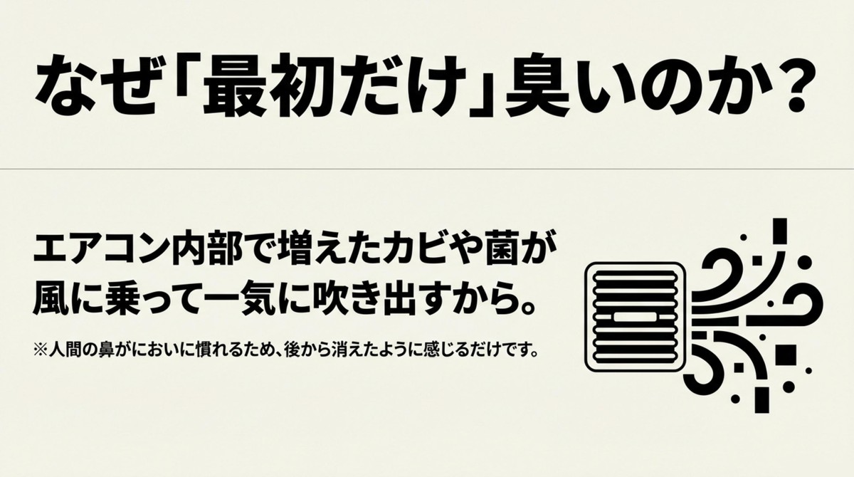 なぜ最初だけ臭いのか?エアコン内部で増えたカビや菌が風に乗って一気に吹き出すから [cite: 4, 5]