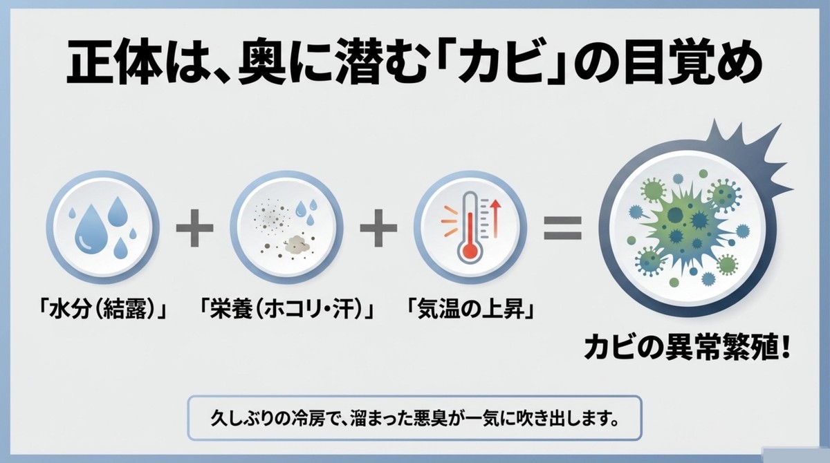 水分（結露）、栄養（ホコリ・汗）、気温の上昇が合わさることでエアコン内部のカビが異常繁殖するメカニズム