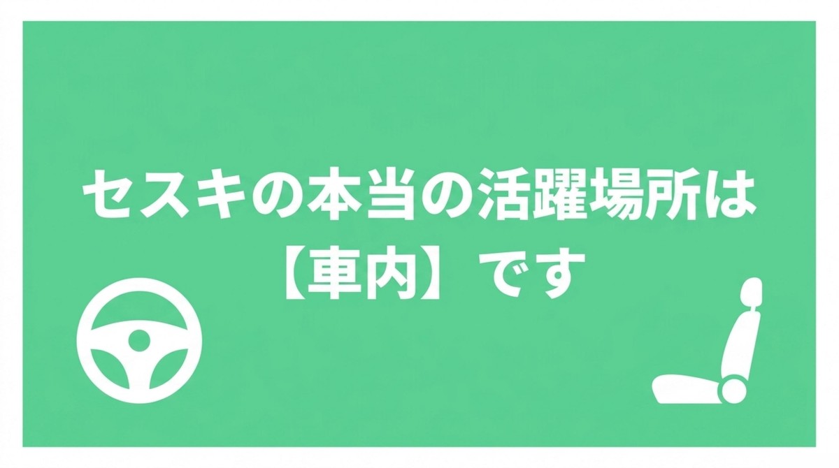 セスキの本当の活躍場所は外装ではなく車内です