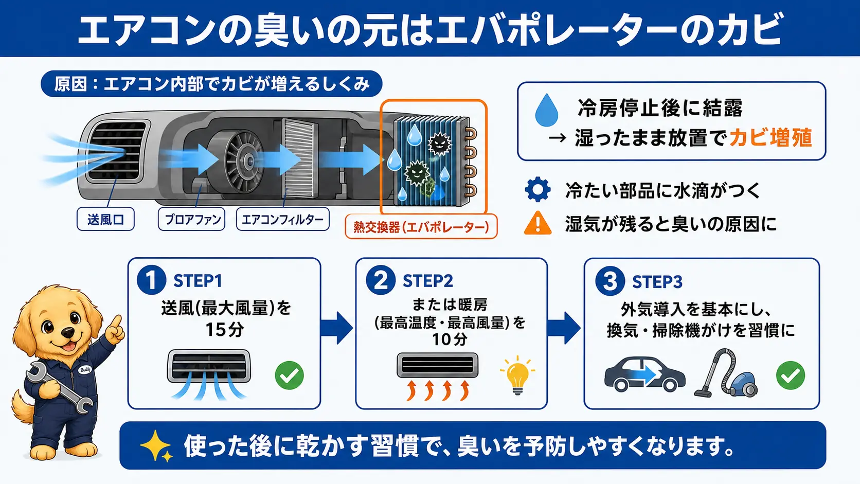エアコン内部のエバポレーターに生えたカビが臭いの原因になる仕組みと、送風・暖房での予防手順を示した図