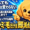 車を売る前の車内清掃で査定士がチェックする箇所と、臭い・シミ・毛による減点ポイントをまとめた解説
