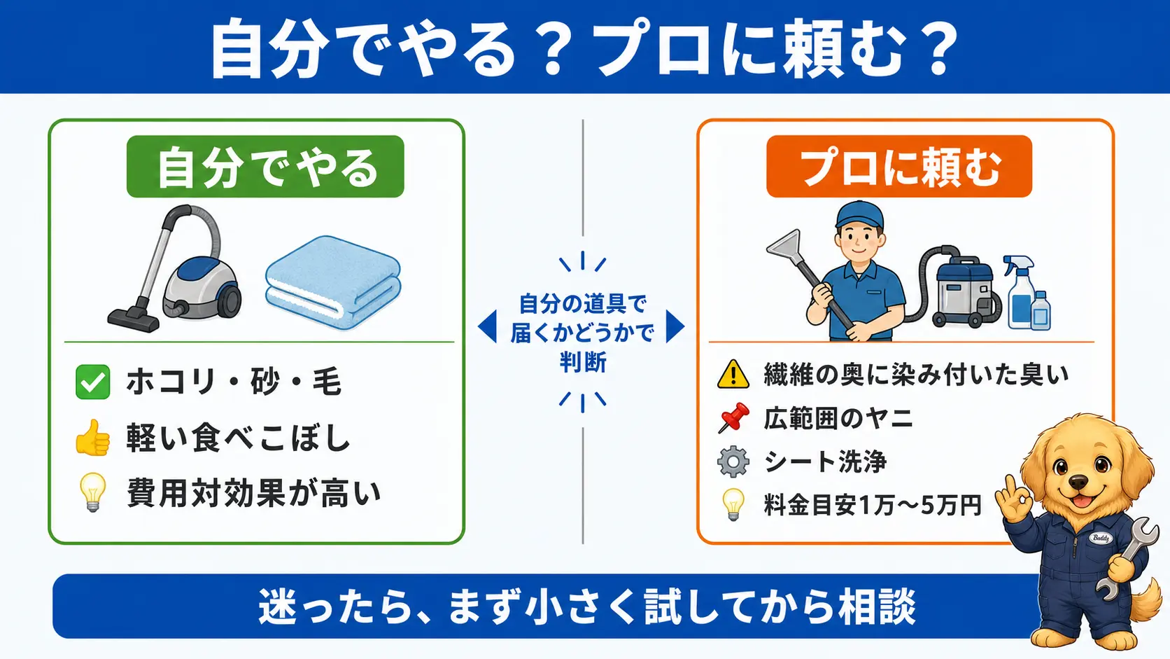 表面のホコリや軽い汚れは自分で、繊維の奥や染み付いた臭いはプロに任せるという判断基準を左右に分けて対比した図