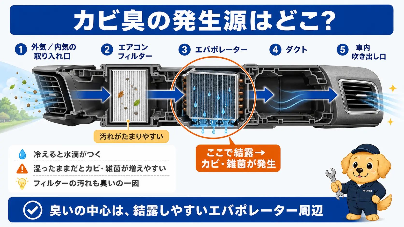 車のダッシュボード内部で外気がフィルターを通りエバポレーターで冷やされて吹き出し口へ向かう空気の通り道と、結露するエバポレーター表面がカビ臭の主な発生源であることを示した断面図