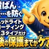 ヘッドライトコーティング剤は用途別に3タイプだけに絞って選び、黄ばみ除去後の保護までがケアという記事の要点