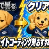黄ばんで曇ったヘッドライトと、コーティング後のクリアなヘッドライトの対比