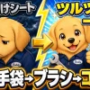 犬や猫の毛だらけだった車のシートがきれいになったビフォーアフター