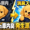 犬猫を乗せてにおいが残る車内と、消臭後にすっきりした車内を左右に対比したイラスト