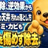 車の天井の黄ばみやシミを、弱い洗剤から順に試して生地を傷めず落とす方法