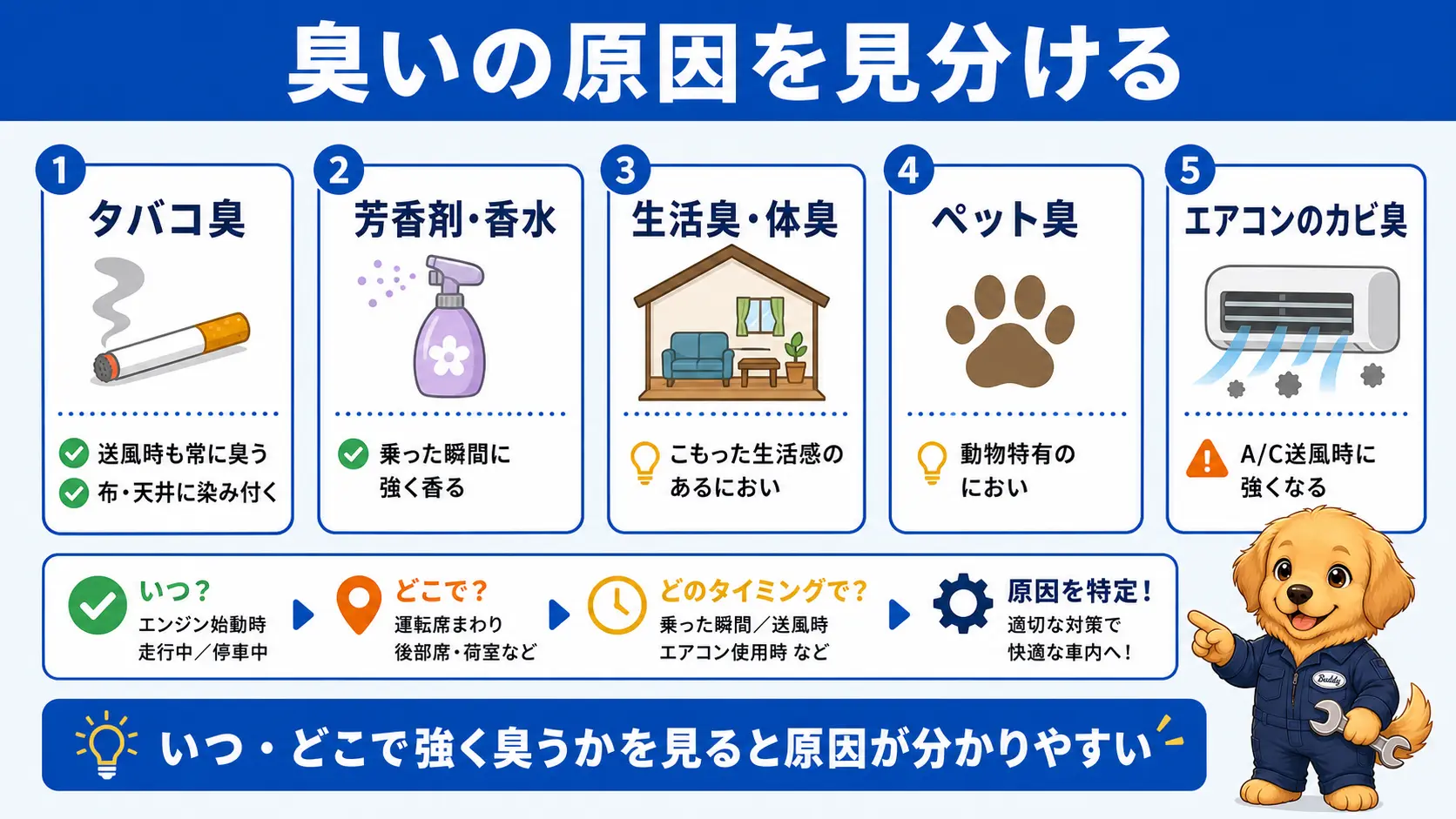 中古車の車内臭の原因をタバコ・芳香剤や香水・生活臭やペット臭・エアコンのカビの5タイプに分けて見分け方を示した図解