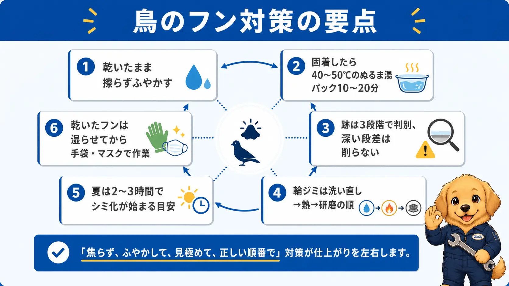 車の鳥のフンのシミ対策の要点として、擦らずふやかす・固着はぬるま湯パック10〜20分・輪ジミは洗い直し→熱→研磨の順・夏は2〜3時間で放置ダメージが始まる・乾いたフンは粉じんに注意という6項目を1枚にまとめた俯瞰図