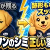 車のボンネットに残った鳥のフンのシミが落とし方できれいになったビフォーアフター