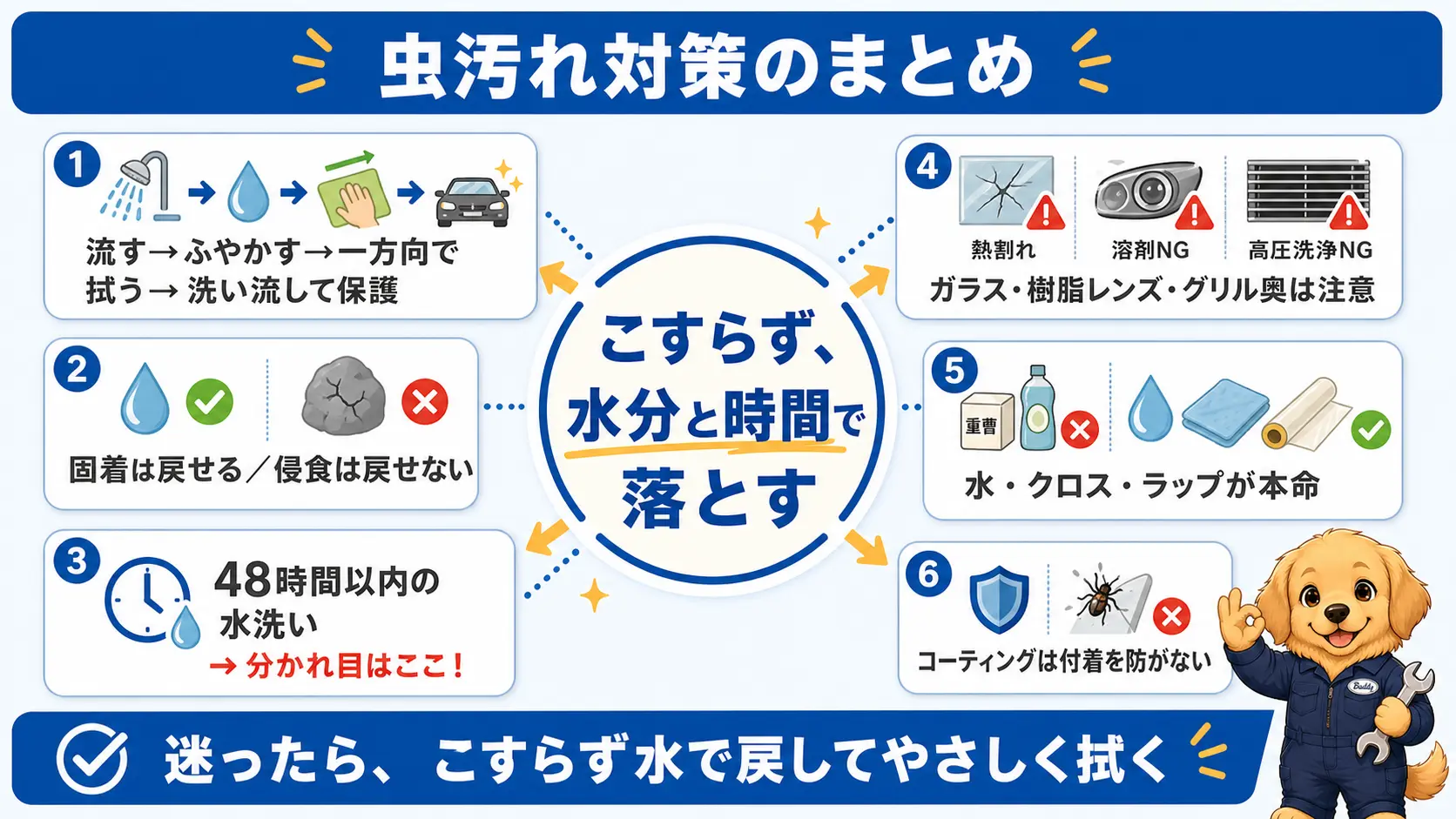 車についた虫の死骸を落とすときのポイントを1枚にまとめた図解。こすらないこと、流す・ふやかす・拭う・洗い流すの4ステップ、48時間以内の水洗い、部位別の注意点を要点として並べている