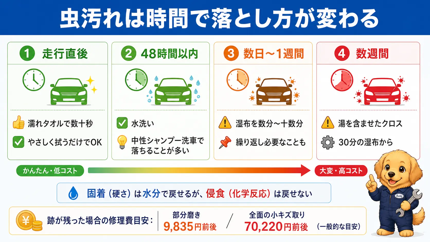 虫の死骸を放置した日数、走行直後・48時間以内・数日〜1週間・数週間の4段階ごとに、必要な対処法とかかる時間、跡が残った場合の修理費の目安を並べた早見表