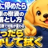 木の下に駐車した車についた樹液を、付いてからの日数に応じて落とす手順