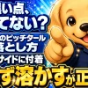 車のバンパー下回りに付いたピッチタールの黒い点を、擦らず専用リムーバーで溶かして落とす方法を示す図