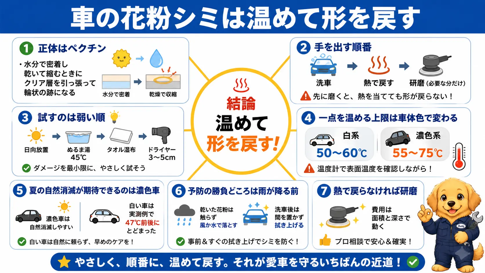 車の花粉シミの正体と対処の要点を1枚にまとめた振り返り図