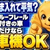 ルーフレールだけが付いた車が洗車機の前に立ち、レールだけなら洗車機OKという結論を示している