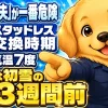スタッドレスタイヤの交換時期は気温7度が目安で締切は初雪の2〜3週間前であることを示す図
