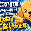 車のワイパーを今夜立てるべきか天候と駐車環境で判断するイメージ