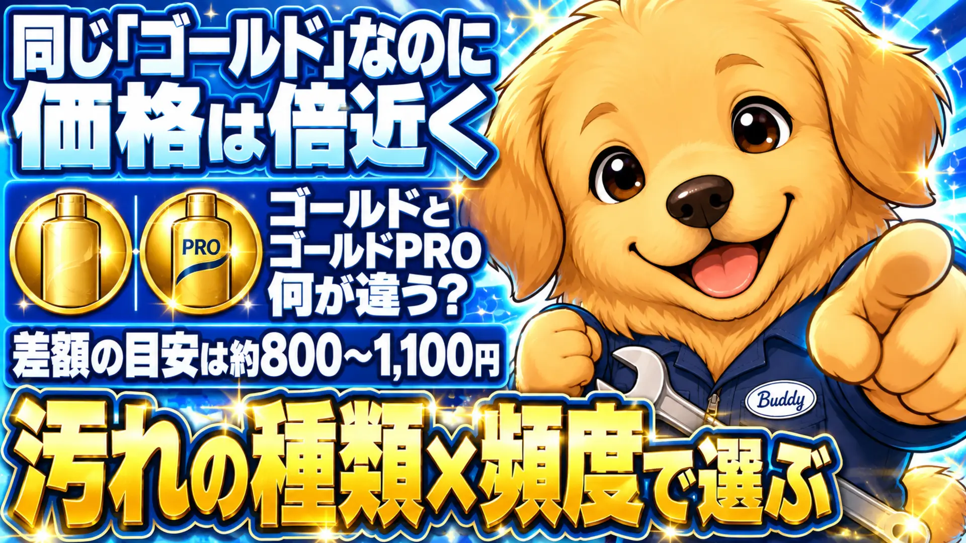 キイロビン ゴールドとゴールドPROの価格差と選び方のポイントを示すイラスト
