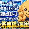 雪が積もった車を洗車していいか、雪下ろしから拭き上げまでの順番を示すイラスト