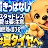 夏にスタッドレスタイヤを履き続けるリスクと夏タイヤへの履き替えを促すイメージ