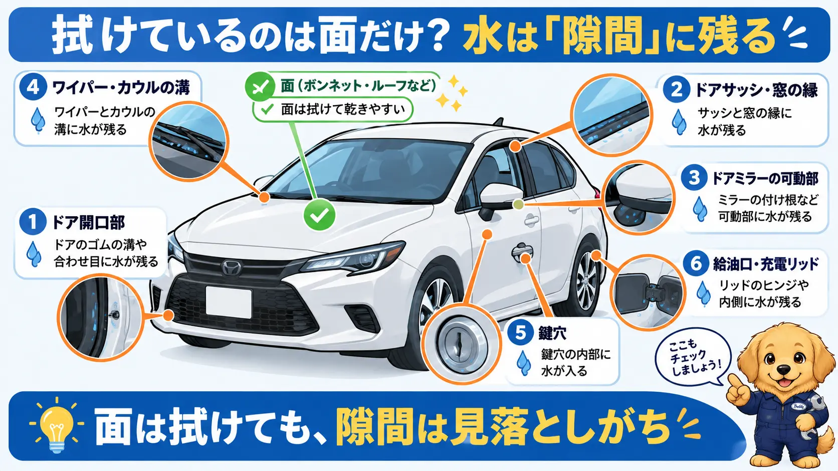 車のイラストにドア開口部・鍵穴・ワイパー・ドアミラー・給油口の水が残りやすい隙間を吹き出しで示した図