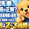 非雪国は2〜3週間に1回を目安に、融雪剤や気温で洗車タイミングを判断する冬の洗車頻度ガイド