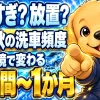 秋の洗車頻度は2週間から1か月に1回が目安、駐車環境で調整する