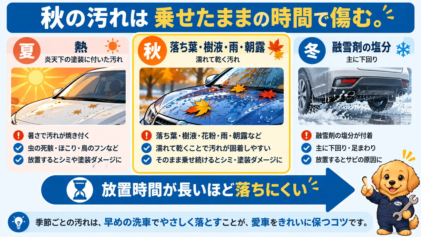 夏は熱、冬は融雪剤の塩分、秋は落ち葉・樹液・雨・朝露が乗せたままの時間で落ちにくくなることを比べた図