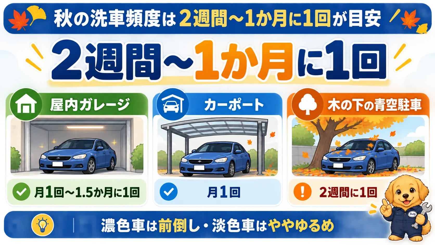 秋の洗車は2週間から1か月に1回が目安で、木の下や青空駐車は2週間に1回、屋内保管は月1回とまとめた図