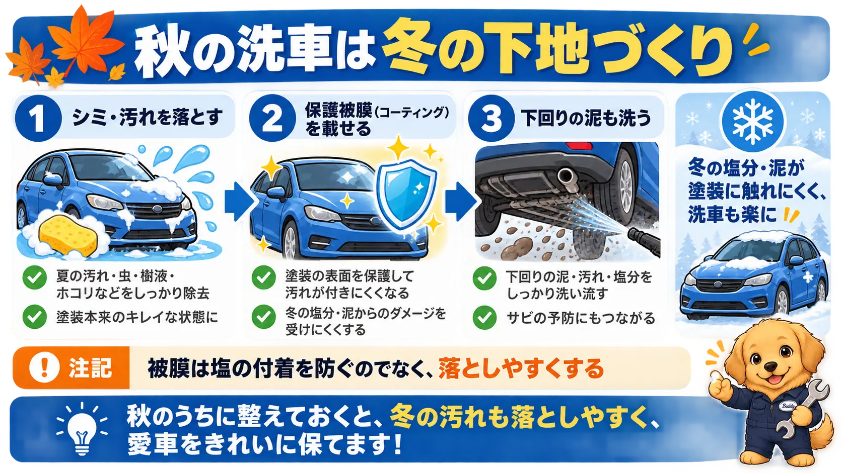 秋に汚れを落としてコーティングを載せ下回りも洗うと冬の融雪剤に備えられることを示した手順図