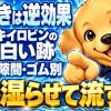 キイロビンの白い跡を水で湿らせて流して落とす方法