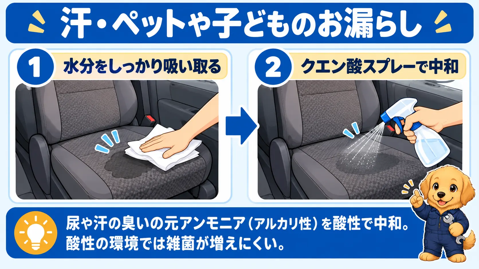 汗やペット・子どものお漏らしは、まず水分をティッシュでしっかり吸い取り、そのあとクエン酸スプレーを吹きかけてアルカリ性のアンモニアを中和する手順