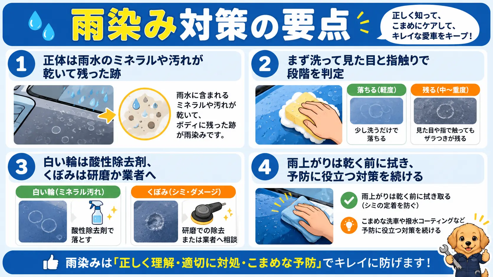 雨染みの正体、段階の見分け方、取り方、雨上がりの対応、予防をまとめた要点一覧