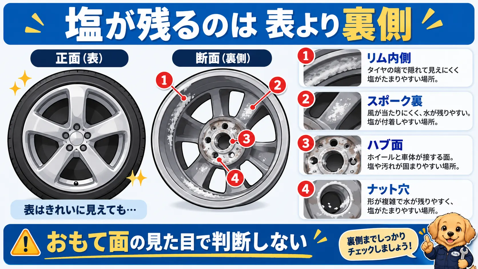 ホイールのリム内側・スポーク裏・ハブ面・ナット穴に塩が残りやすいことを示した分解図