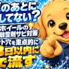 融雪剤を浴びたホイールは2〜3日以内に裏側とナット穴を水で流すとサビを防げる